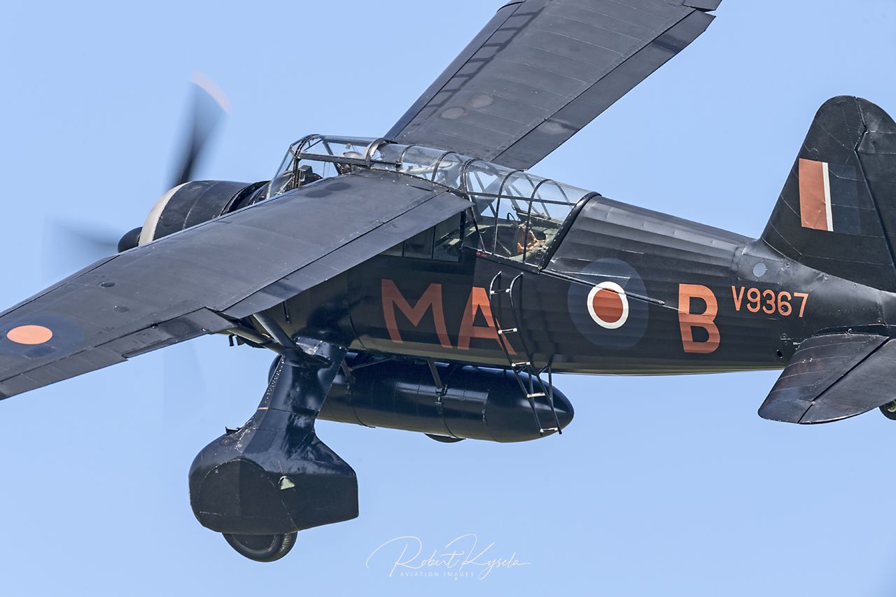 Westland LYSANDER III   - © by Robert Kysela