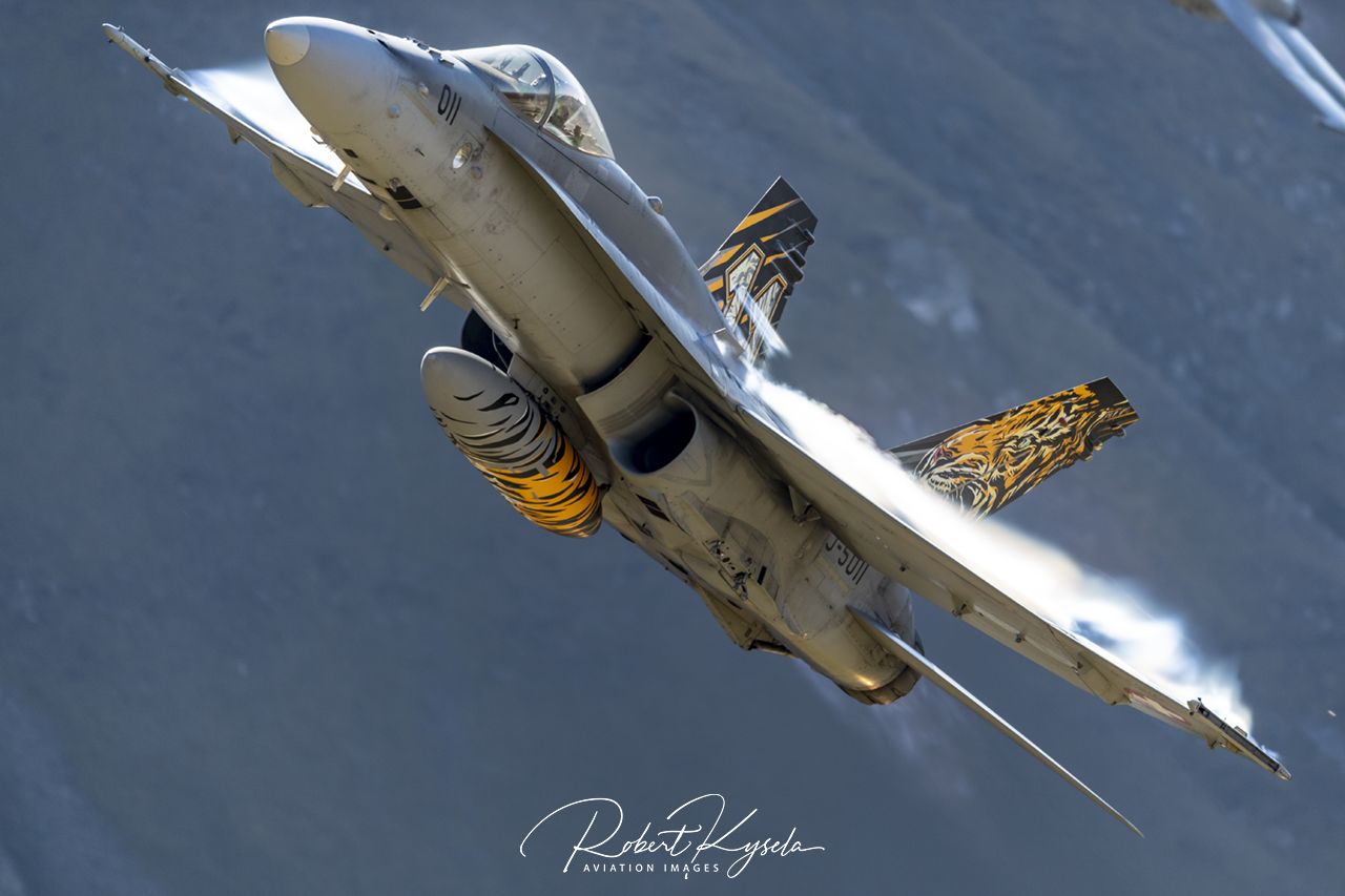 Boeing F/A-18C HORNET  -  © by Robert Kysela