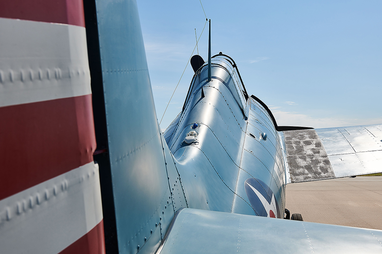 Grumman F-4F3 WILDCAT  -  © by Shawn Clish