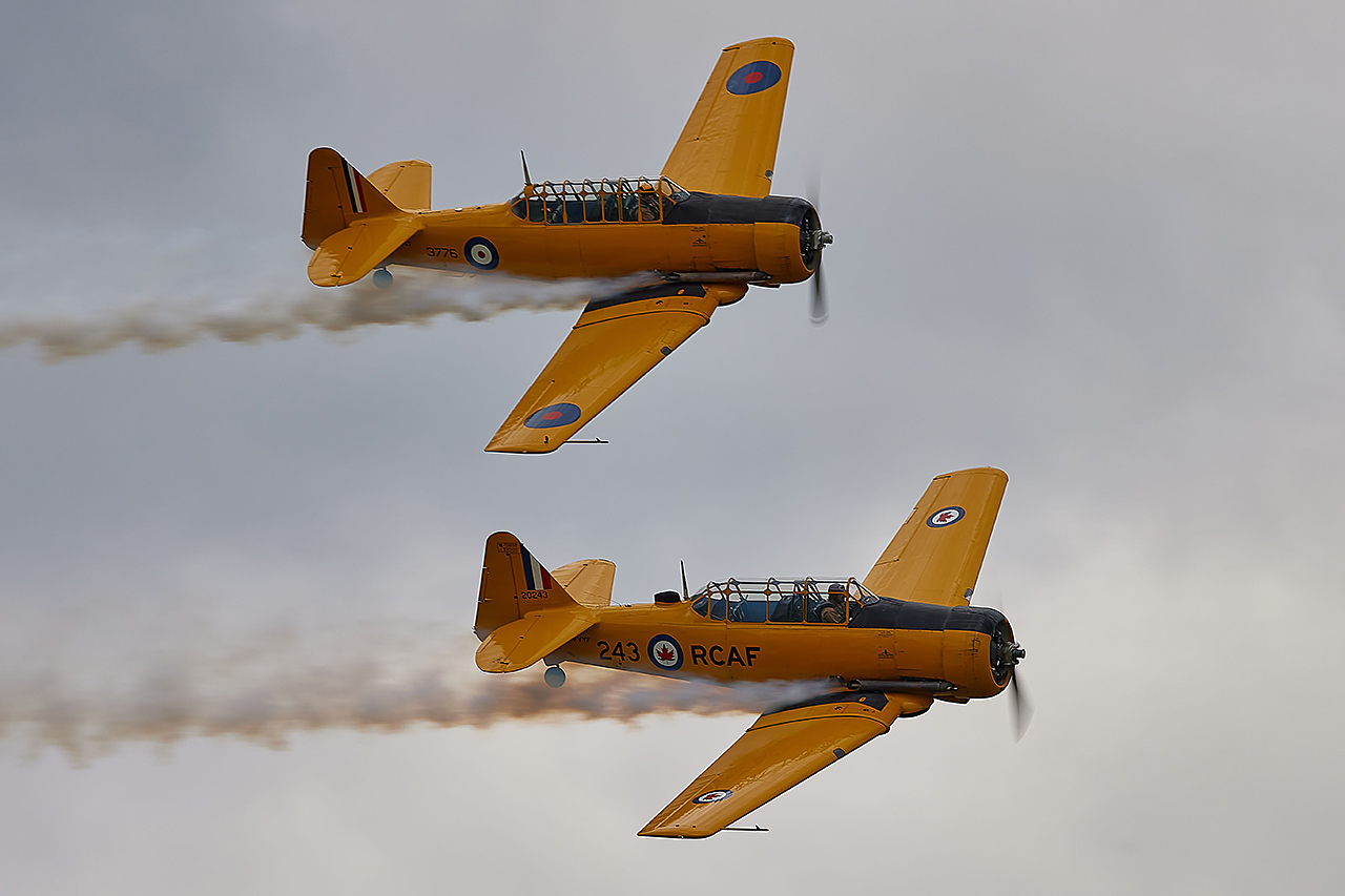 North American HARVARD AT-6  -  © by Shawn Clish