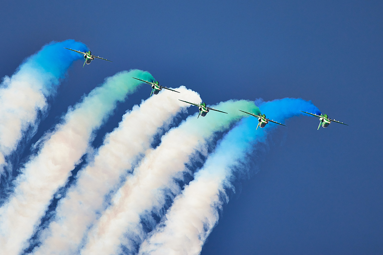 Saudi Hawks  -  © by Shawn Clish