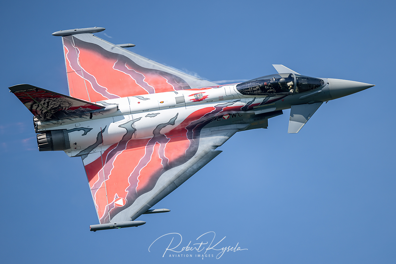 Eurofighter EF-2000   - © by Robert Kysela