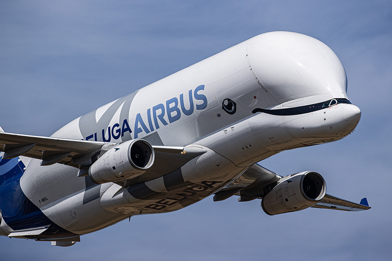 Airbus A330 BELUGA XL - © by Will Moore