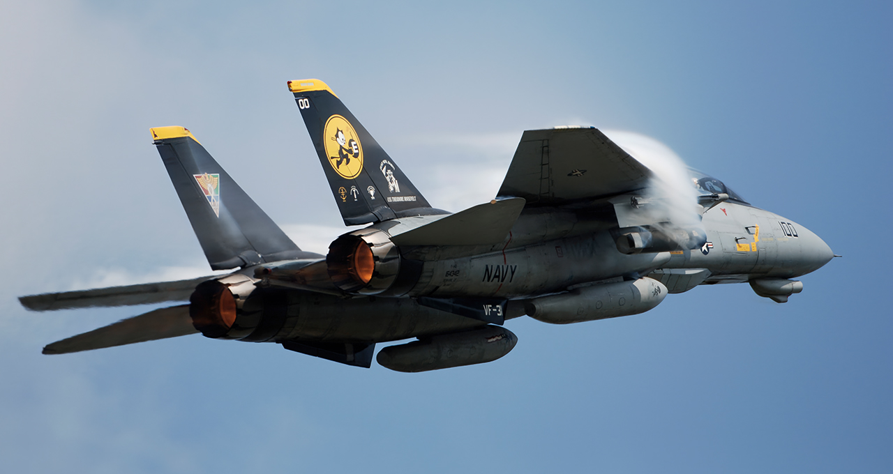 Grumman F-14D Tomcat. - image by: Robert Kysela